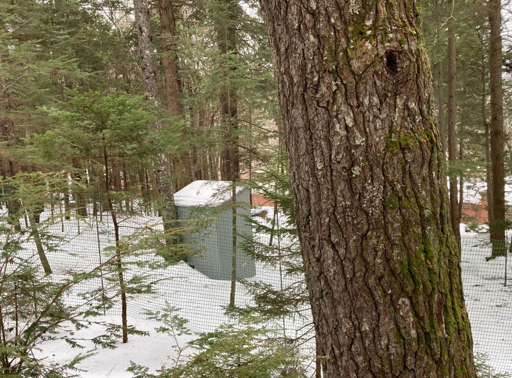 Photograph of a small grey structure, like a shed, in snowy woods.