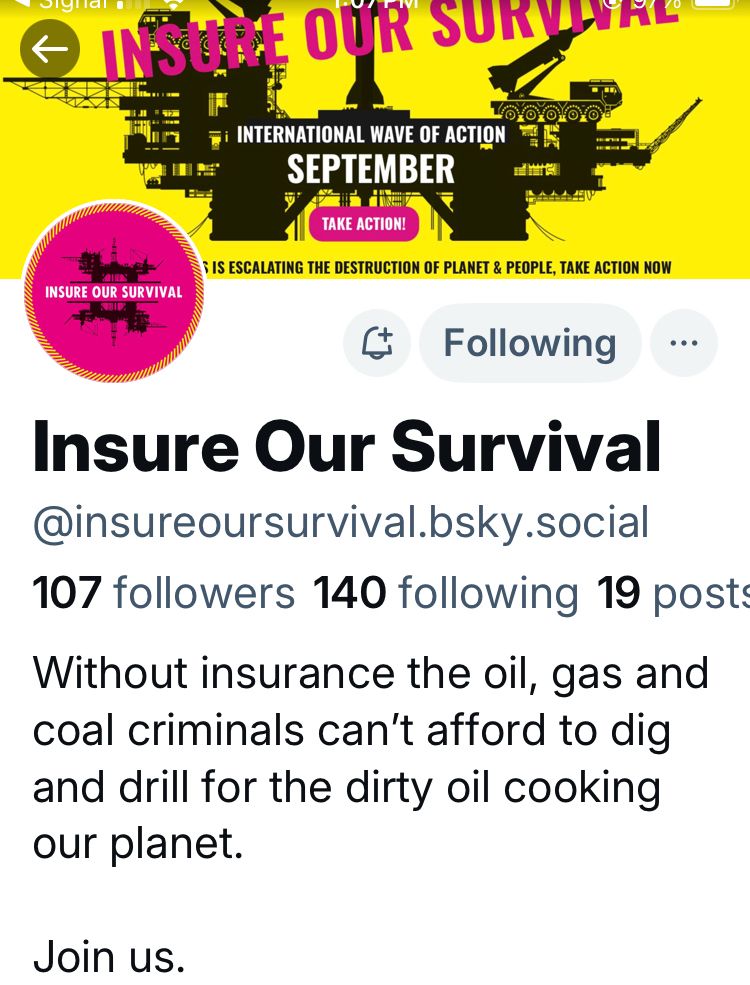 Screenshot of Insure Our Survival’s homepage in Blue Sky