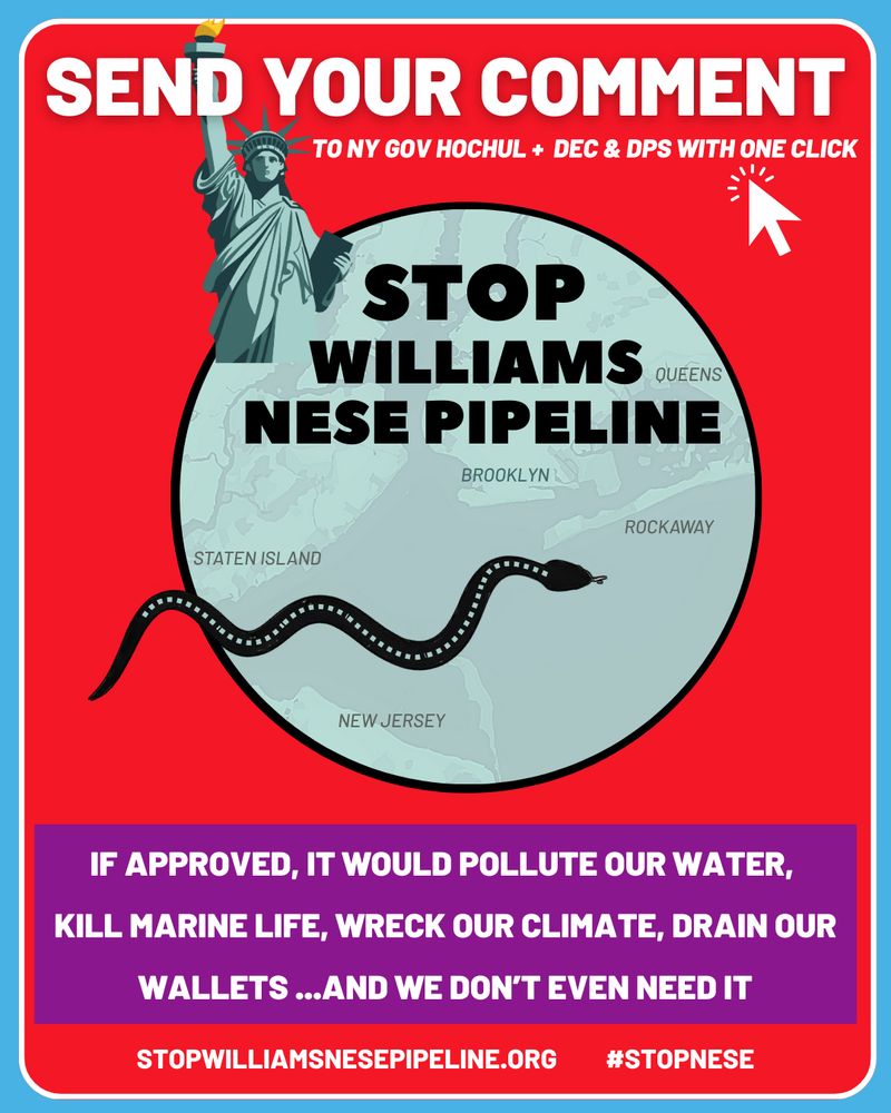 Send Comment #6 to  Governor Hochul NYS DEC and to the NYS DPS to reject Williams Transco's Permit and National Grid's Long Term Gas Plan

Background:

The New York State Department of Environmental C...