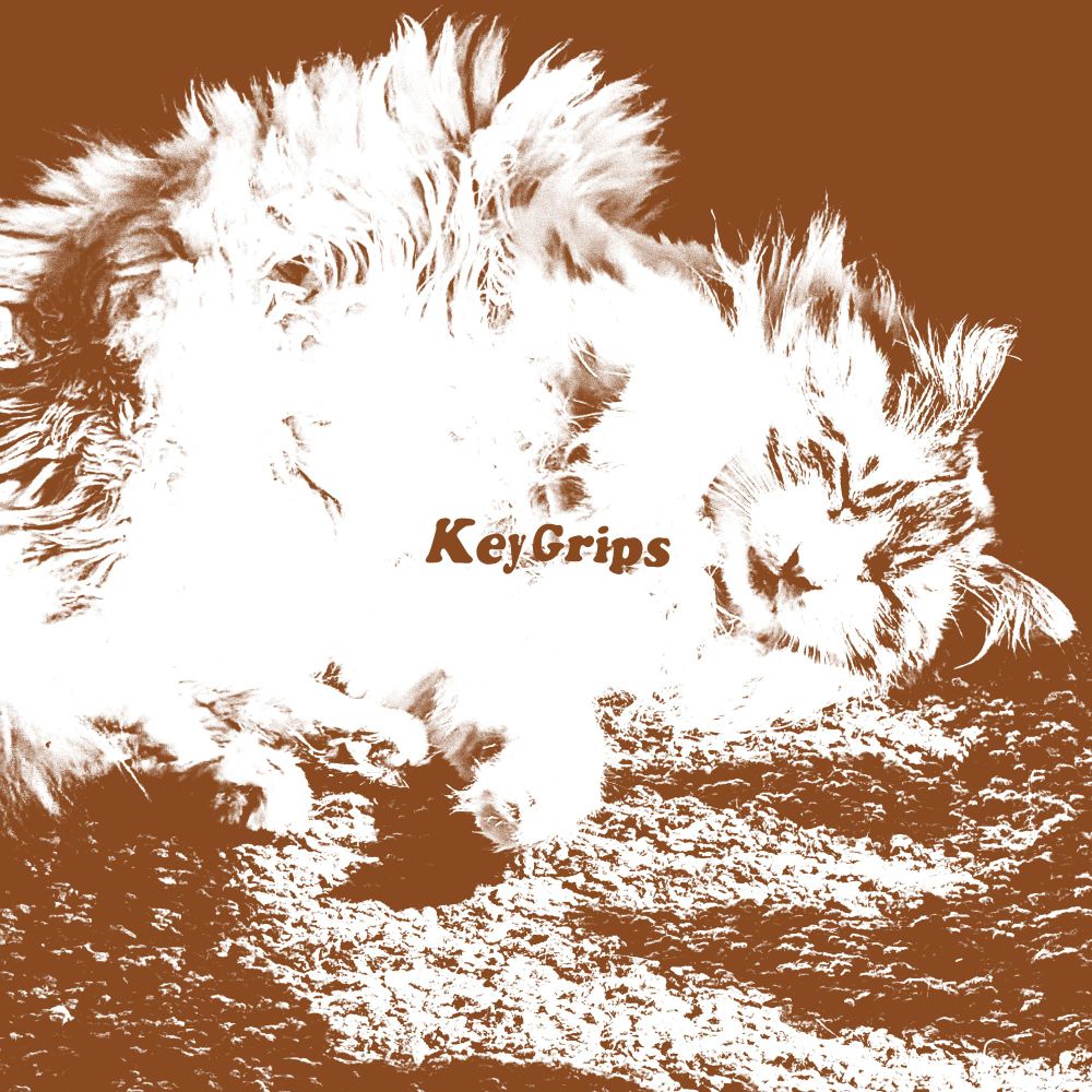 Key Grips cover featuring a fluffy cat.