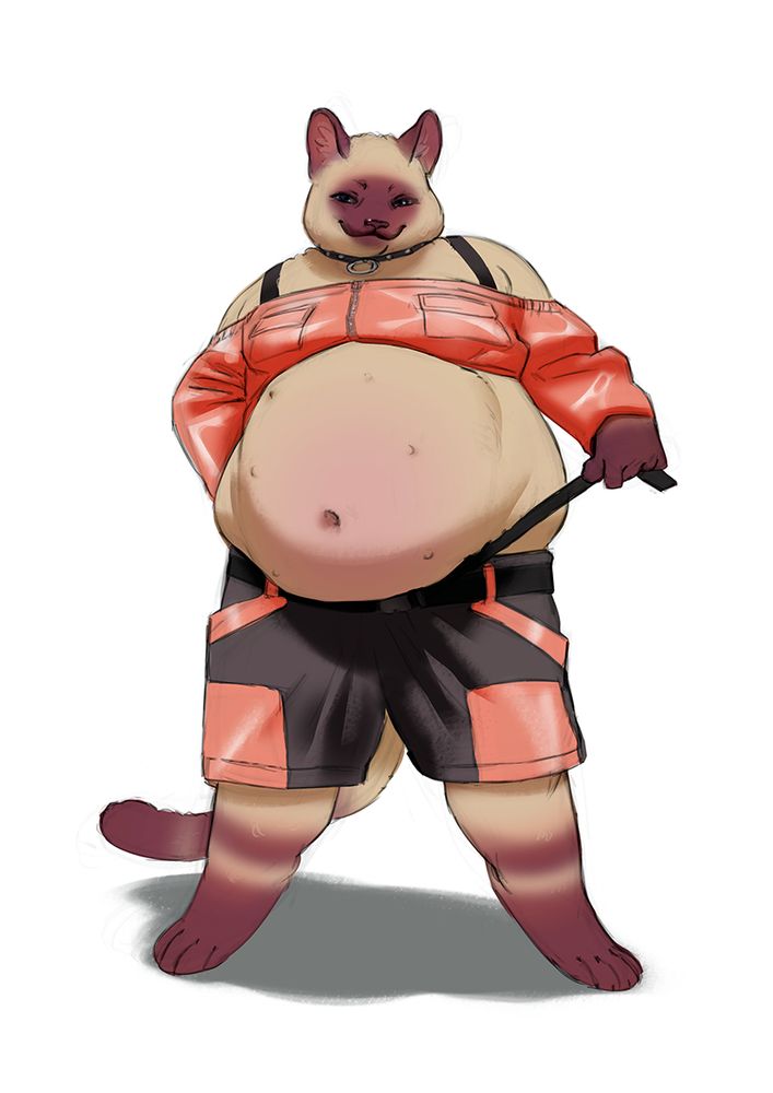 siamese cat furry posing in a stylish outfit including a crop top and a big, round belly