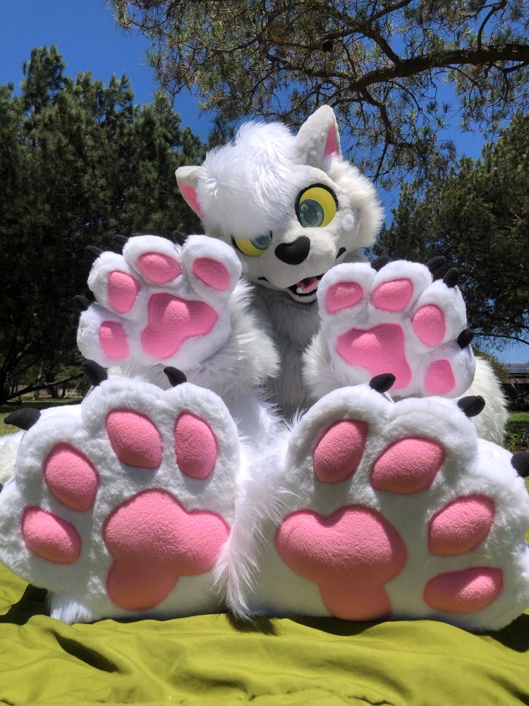 Cafe the house at, a fullsuit made of white and grey furs with pink beans