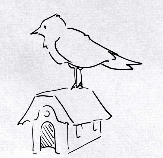 Simple line drawing of a bird standing on the roof of a house. The house and the bird are the same size.