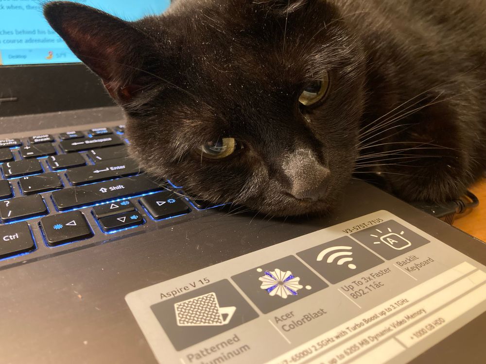 An elderly void is lying with her head pillowed on a laptop keyboard. 