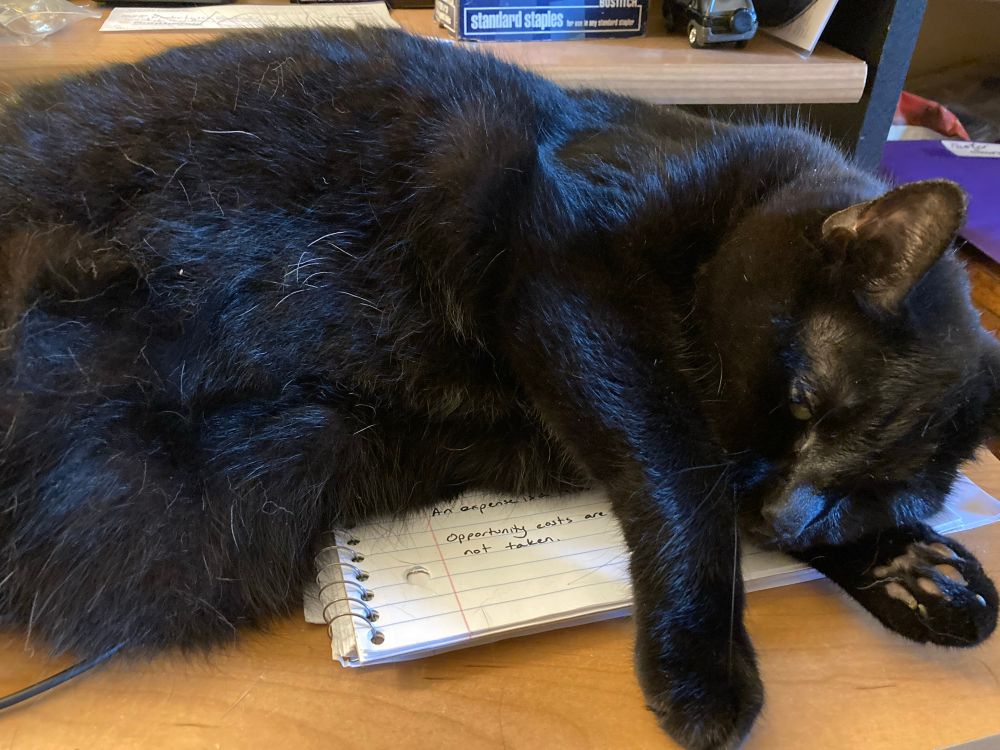 An elderly void is lying on a spiral notebook on a desk 