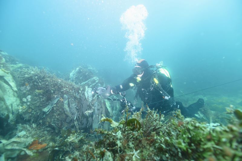 Photo credit: Karsten Dahl, Aarhus University
