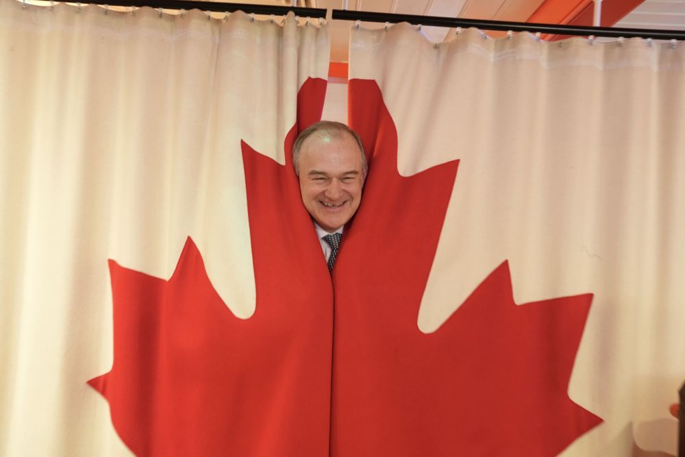 Ed Davey's face grinning from the central parting of maple leaf curtains.