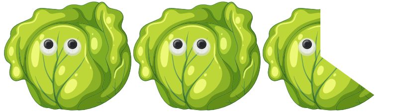 A row of three cartoon iceberg lettuces with googly eyes. The third lettuce is missing a chunk representing 35% of it's total area so there are 2.65 lettuces shown in total.