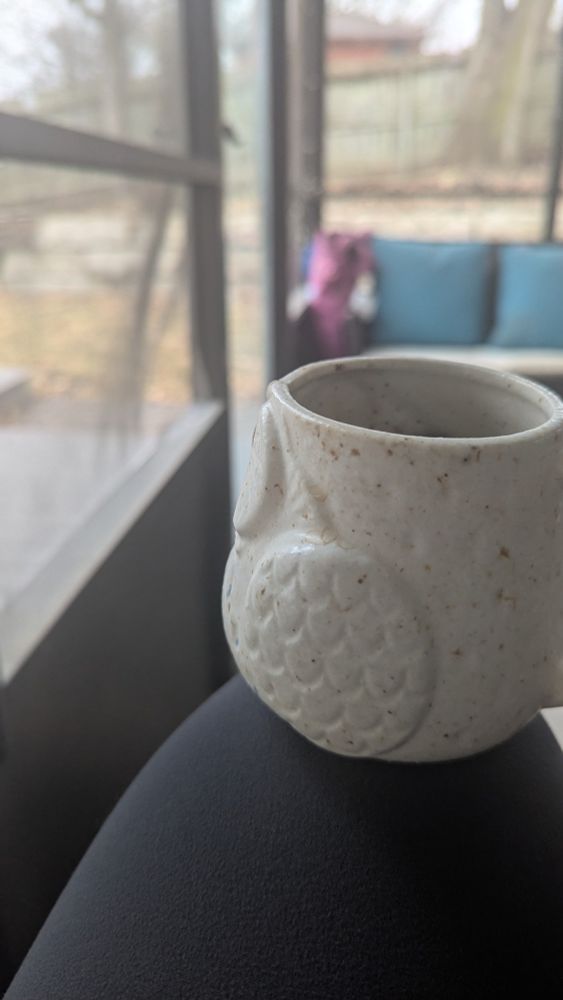 Cream colored coffee cup shaped like an owl, perched on a knee with grey leggings. 

In the background is a screened in porch with a couch with pillows and you can see the brownish landscape beyond. 