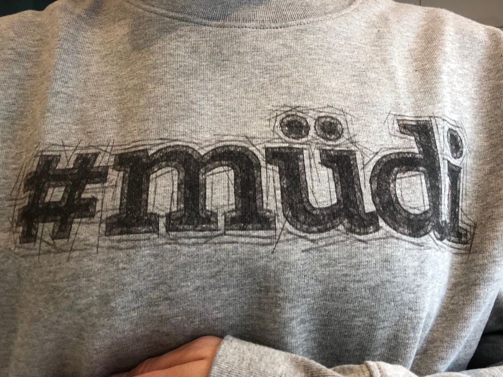 Foto von meinem Oberkörper in einem grauen Sweatshirt mit dem Aufdruck #müdi von oakling. 