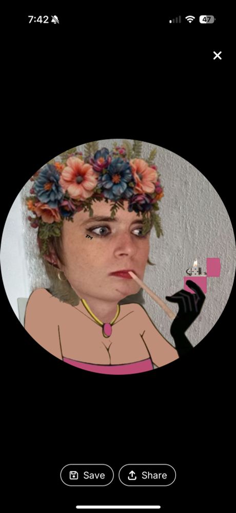 The avi of a funny Dutch poster
