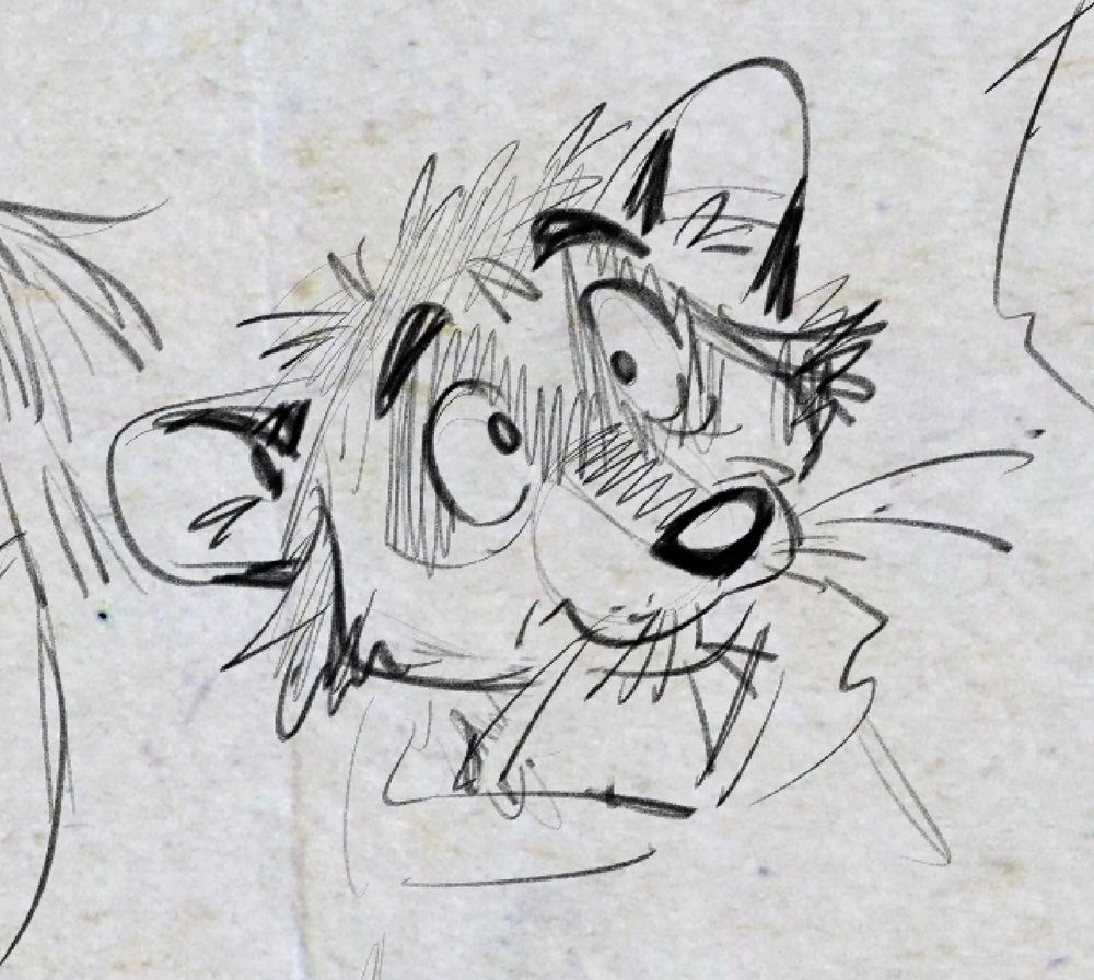 rough sketch of Charlie Kelly as an anthropomorphic raccoon 