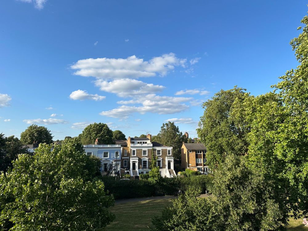 A view across a small park to houses below a blue sky and weird, UFO like clouds. 