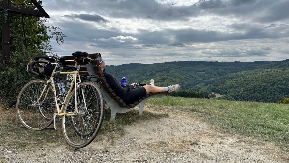 pausen-ausblick im rheingau während der eroica germania 2025. im vordergrund ein hübsches, cappuccino-farbenes koga, dahinter eine panorama-bank auf der ein radfahrer den ausblick genießt.