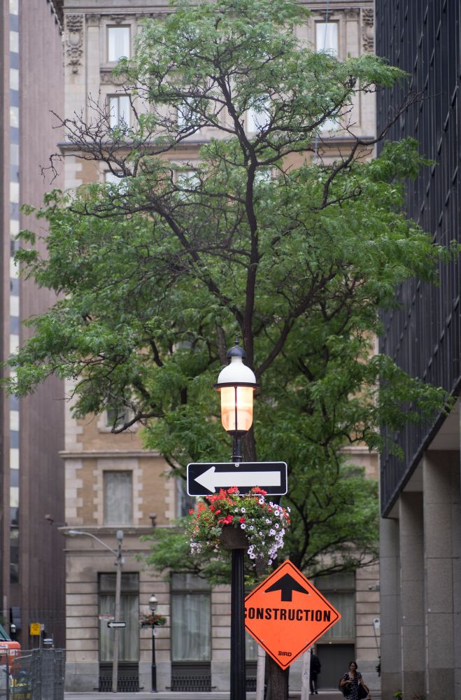 A single green leafy tree grows next to a modernist building on the right, with a 1920s-era brick building behind; in front of it is an old-styled street lamp with a one-way arrow, and an orange diamond sign indicating construction ahead.