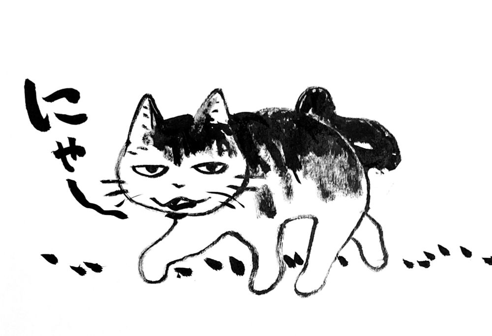 猫