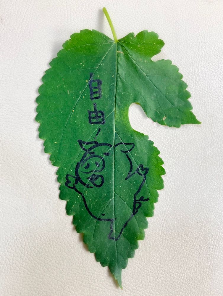 桑の葉に描いた「自由」