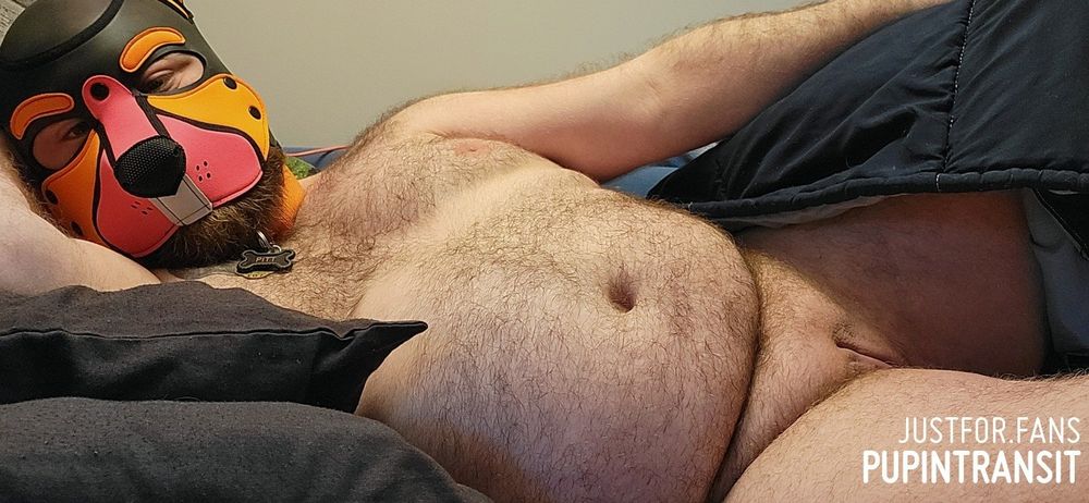 Fat hairy man in pup hood lounging in bed and revealing his neovagina 
