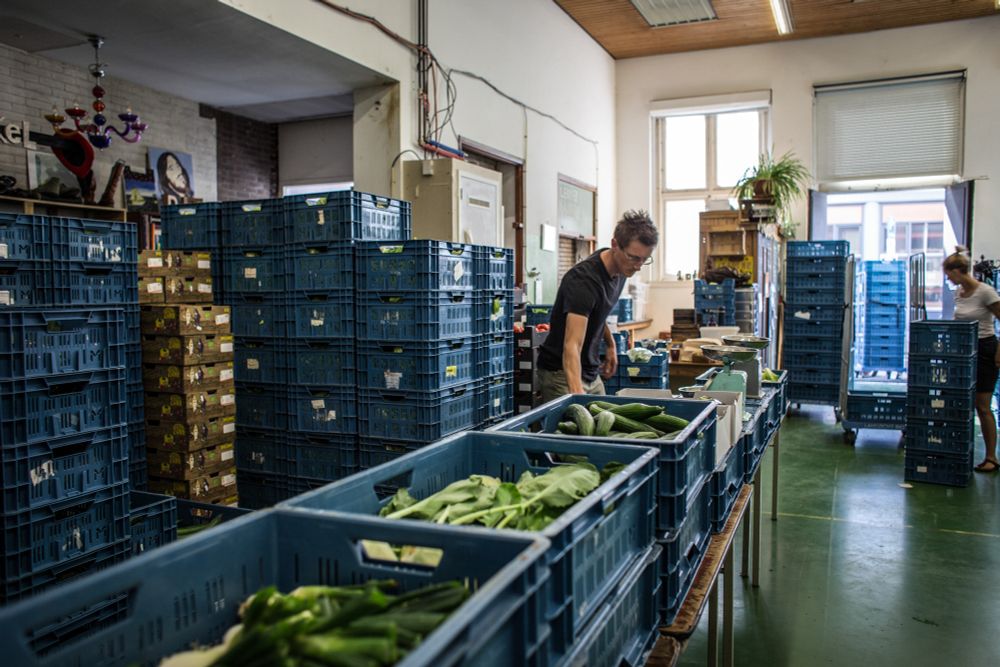  Een rij tafels met daarop blauwe kratten. In de kratten zitten groene pepers, spinazi en komkommer. Er staat een persoon achter de tafels. Ook verzamelt iemand anders meer kratten in de achtergrond.