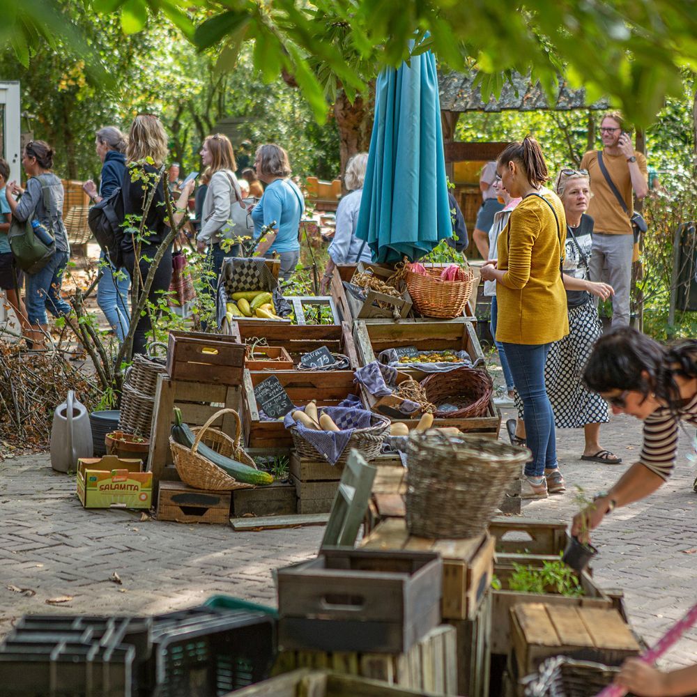 Een groentemarkt in de natuur. Kratten met verse courgettes, wortelen, pompoenen en mensen met mandjes die producten uitkiezen. 