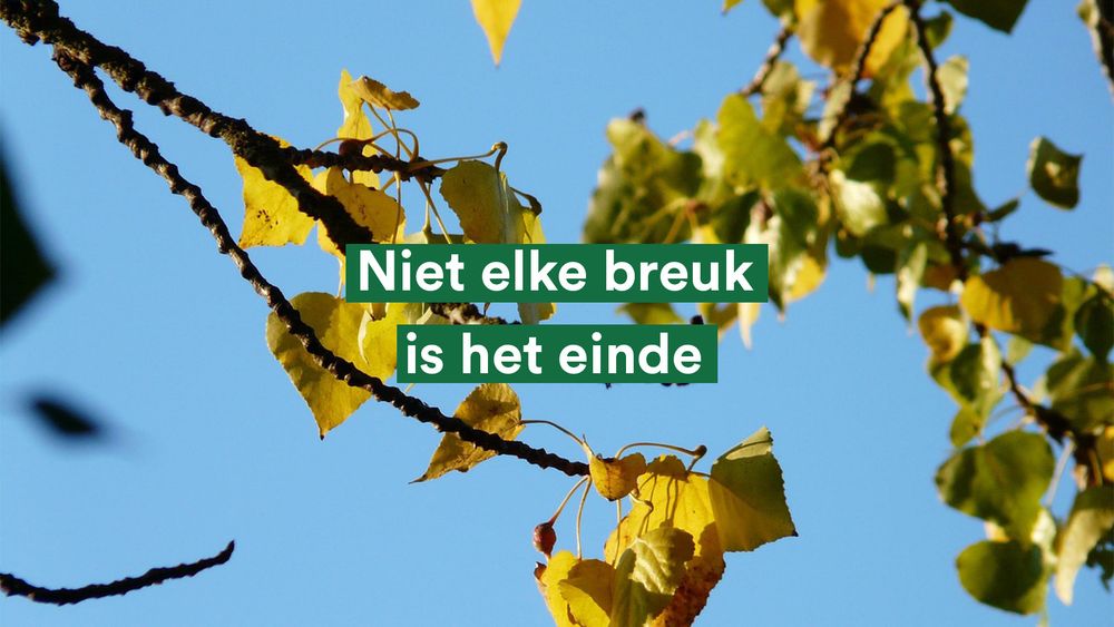 Foto 1: Van links naar rechts raadsleden ‘Leonie Gerritsen, Robin Smit en Jan Willem van den Bos’ van Partij voor de Dieren Den Haag. Ze staan lachend op de foto met Robin iets voor de andere twee. Achter hen groeien groene planten aan een muur. Op de voorgrond staat in witte letters met een groene achtergrond ‘swipe voor successen’.

