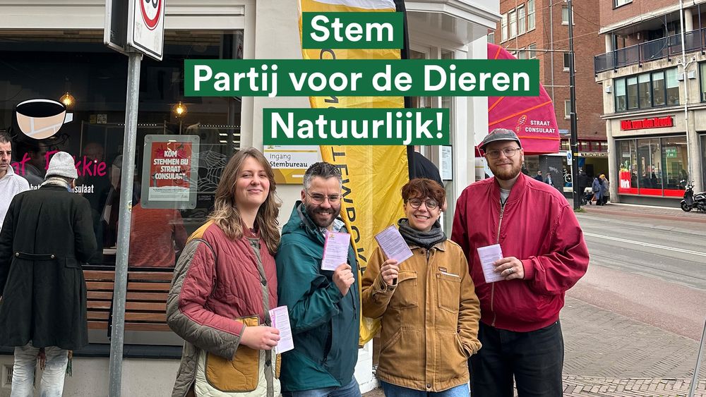 4 van de fractieleden van de Partij voor de Dieren Den Haag staan voor het straatconsulaat in Den Haag met stempassen in hand. Op de achtergrond zie je het gebouw van straatconsulaat. Ook staan er op de achtergrond vlaggen en borden met het woord stembureau erop. 