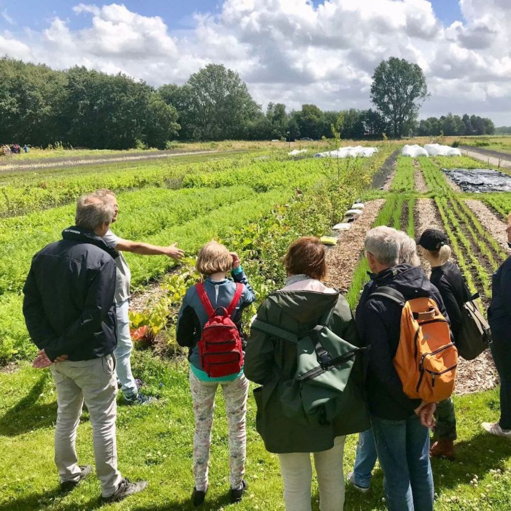 Er wordt door 1 persoon iets uitgelegd aan een groep van 7 mensen. Ze staan voor een perceel waarop strokenteelt gedaan wordt. Bij strokenteelt staan verschillende gewassen naast elkaar op smalle stroken grond.