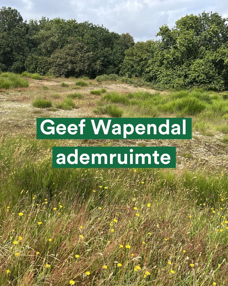 Een duinlandschap met gele bloeiende bloemen en op de achtergrond groene bomen. Op de voorgrond staat in witte letters met een groene achtergrond ‘Geef Wapendal ademruimte’.