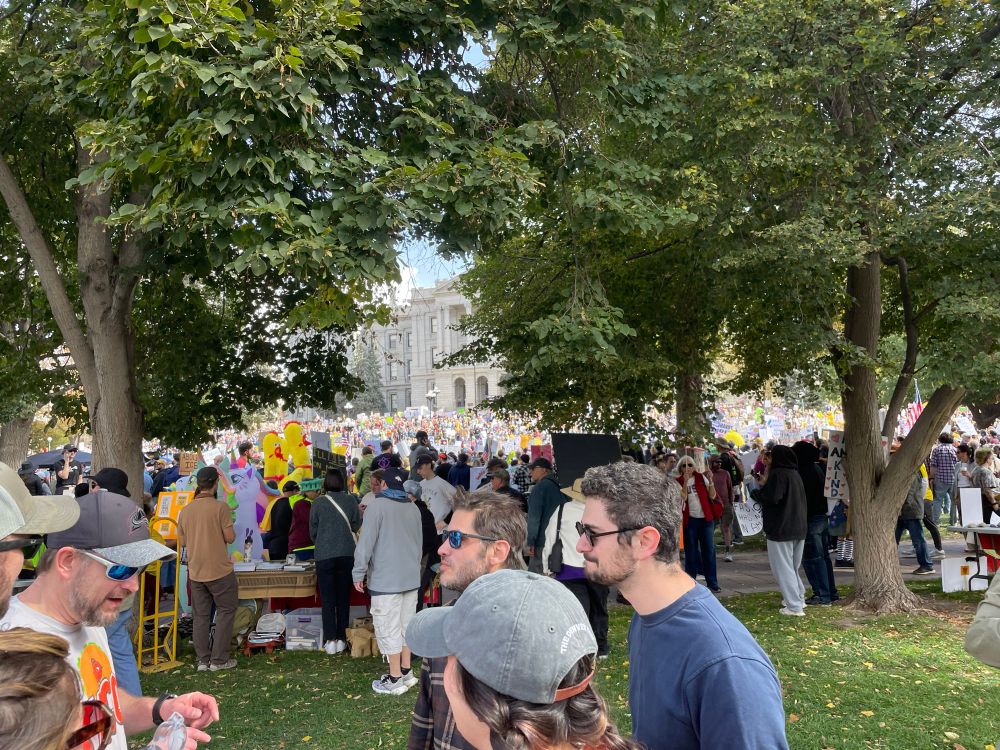 The crowds at the No kings march in Denver a seen from the street looking up at the capital building.