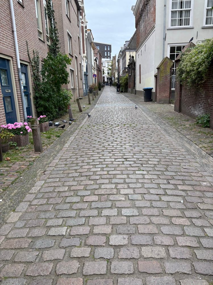 Straatje in Nijmegen centrum 