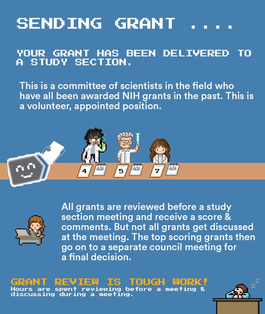 Blue background. A group of 3 pixelated scientists stands before a long table. The NIH logo delivers them the grant. Before them are two pieces of paper, one with a grant score and one with notes. Elsewhere in the page is a scientist working a table and another one napping.
TEXT: “SENDING GRANT.. YOUR GRANT HAS BEEN DELIVERED TO A STUDY SECTION.
This is a committee of scientists in the field who have all been awarded NIH grants in the past. This is a volunteer, appointed position.
All grants are reviewed before a study section meeting and receive a score & comments. But not all grants get discussed at the meeting. The top scoring grants then go on to a separate council meeting for a final decision.
GRANT REVIEW IS TOUGH WORK! Hours are spent reviewing before a meeting & discussing during a meeting.”