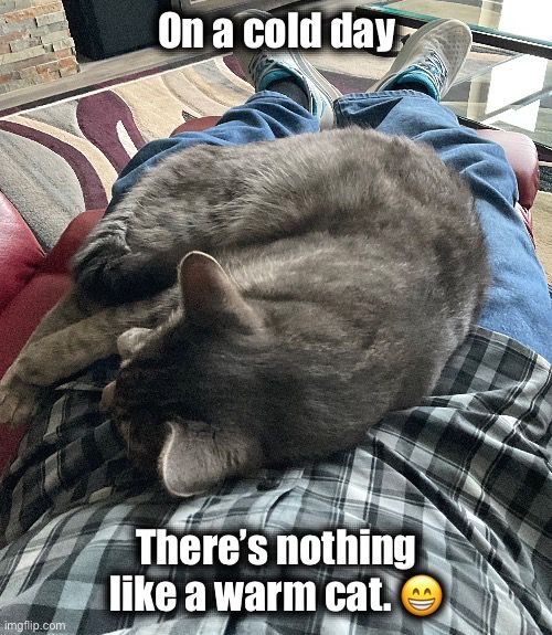 Cat sleeping in a man’s lap. 
“On a cold day, there’s nothing like a warm cat”