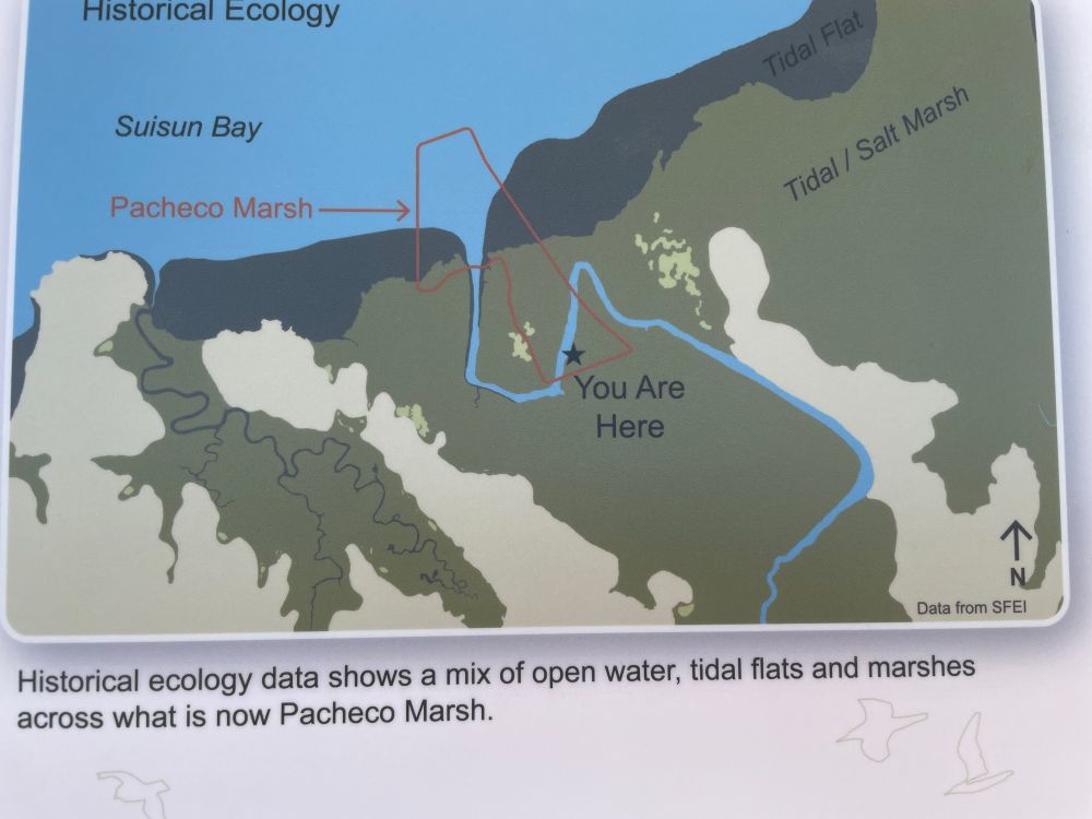 Historical Ecology
Tidal Flat
Suisun Bay
Pacheco Marsh —
Tidal / Salt Marsh
Data from SFEl
Historical ecology data shows a mix of open water, tidal flats and marshes across what is now Pacheco Marsh.