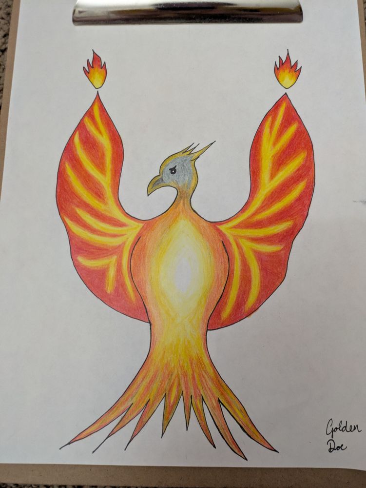 Fully colored Phoenix: white/yellow chest, grey head with serious eyes, red/orange/yellow wings. "Golden Doe" written in the bottom right corner