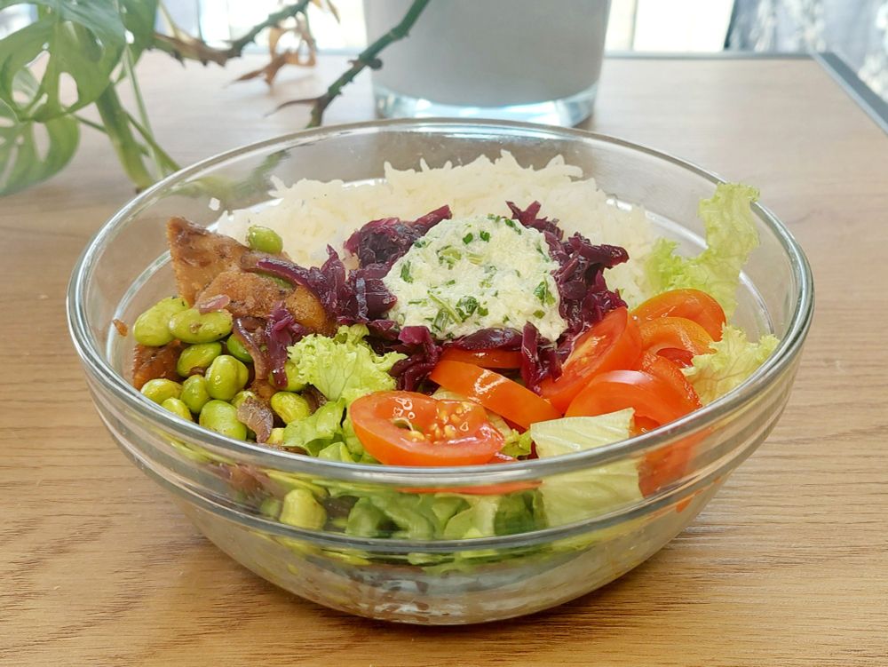 Rice bowl with salad, tomato slices, red cabbage, tzatziki, edamame and fried chunks; Monstera in the background