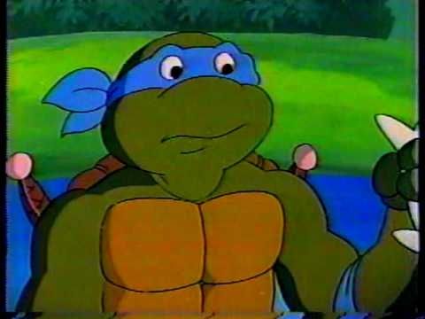 Teenage Mutant Ninja Turtles Environmental Message