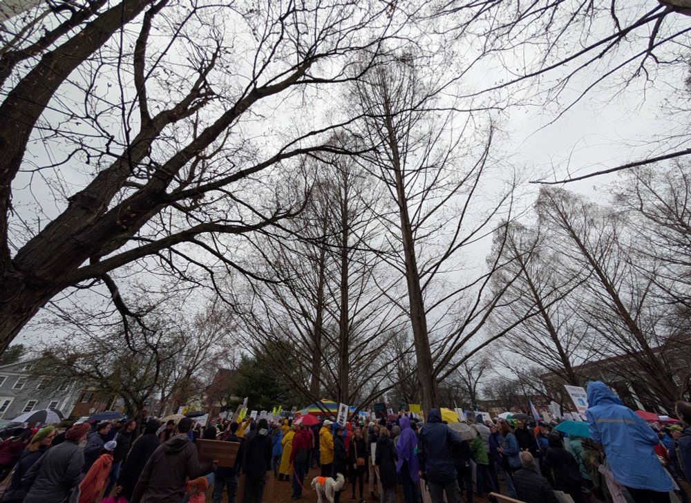 Hundreds gathered outside in a Hudson Valley town, protesting in the rain 
