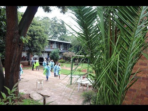 How Social Employment Transforms Health & Wellness | Bertrams, Johannesburg