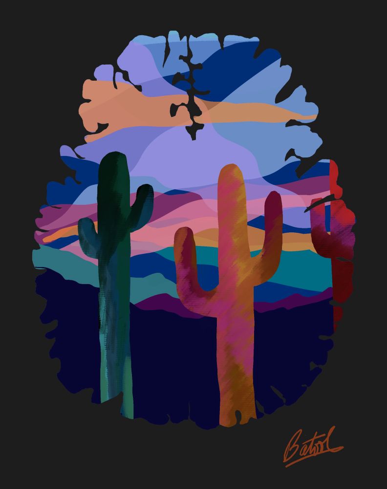 Cacti with a blend of colors in the background.