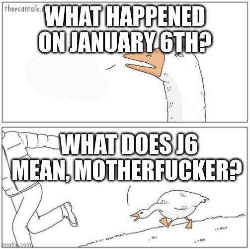An angry goose asking "what happened on January 6th?"

Hey, don't look at me like that, he's just asking questions.