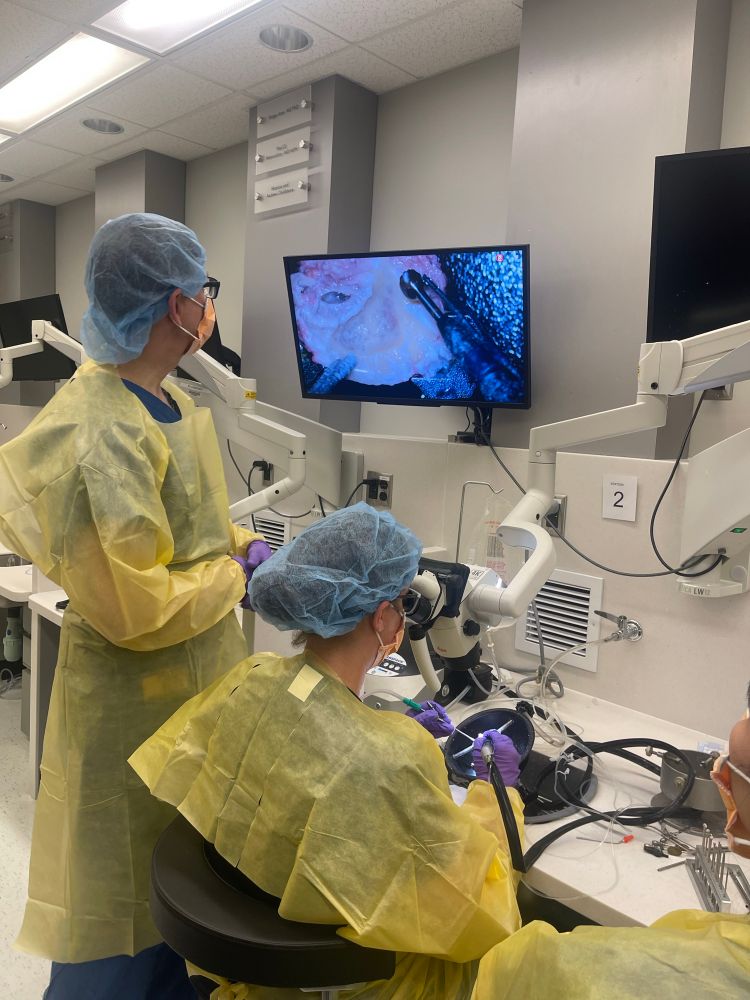 Scientist and surgeon drilling a human cadaver temporal bone