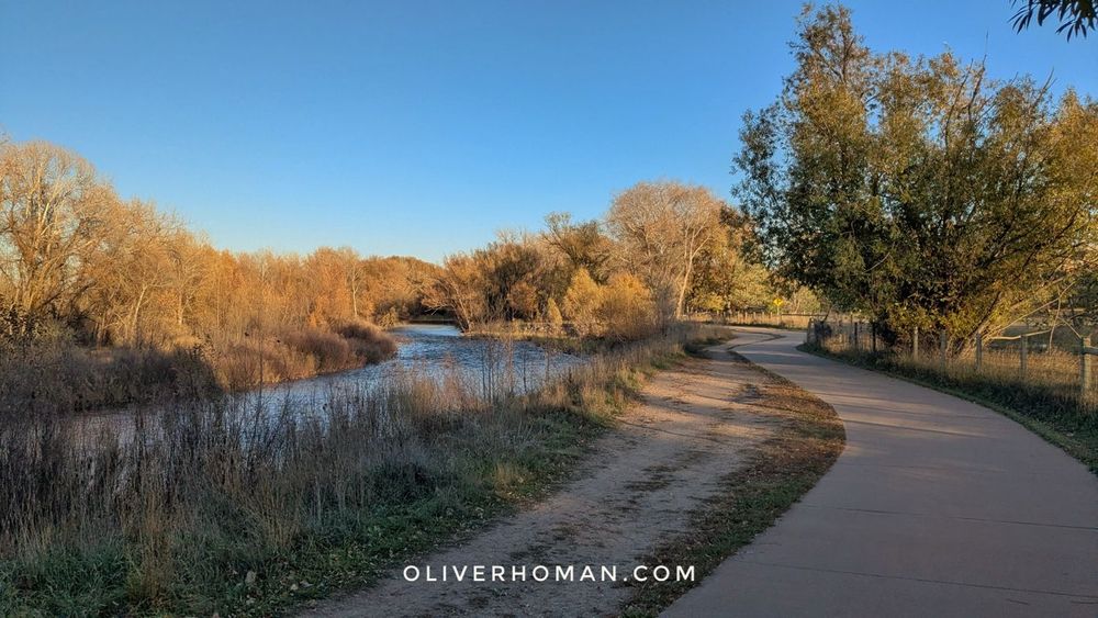 A photo showing the long curved path of the Poudre River trail in Fort Collins, Colorado. Trees are lit up in the setting sun on both sides of the river.