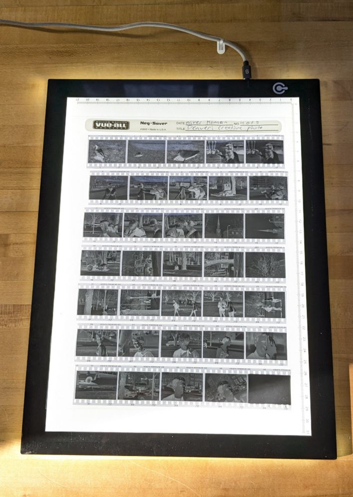 A plastic negative holder holds rows of black and white film. This is set up to print a darkroom contact sheet.