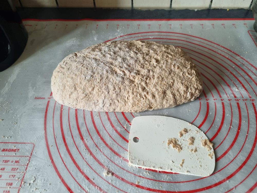 Der helle Teigling liegt nach dem Ausstossen auf der Backmatte.
Diese hat rote Ringe um verschiedene Größen darzustellen und ist ansonsten weiss.
Bei dem Teilung liegt noch die Teigkarte.
Der Teigling hat noch die Form eines langgewirkten Laibes, da er die Kastemform erst im Kasten erhält.