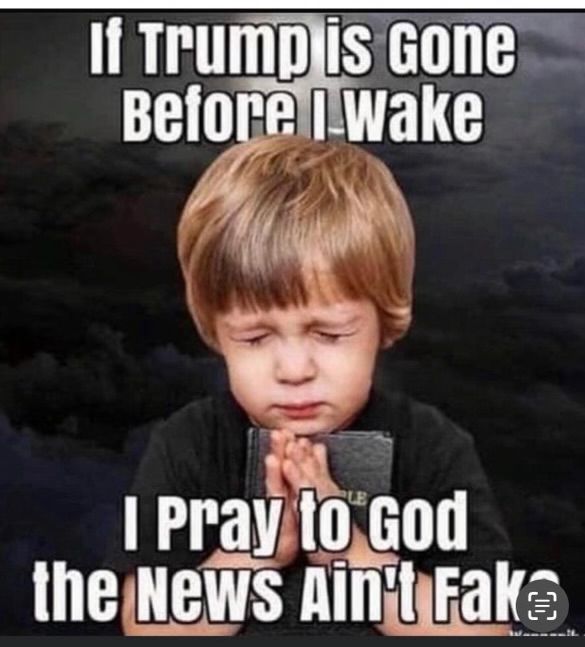 Photo of a child praying:
“If Trump is gone before I wake, I pray to God the news ain’t fake”