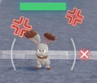 angry bunny