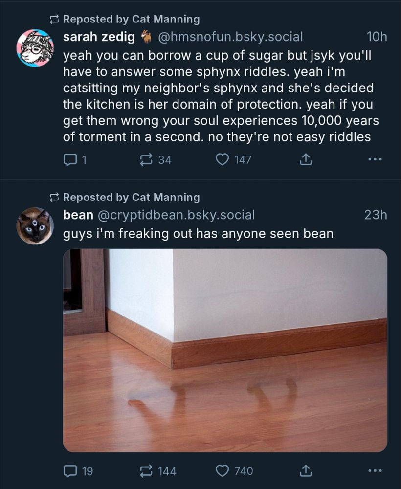 Picture of 2 bluesky posts. The top is a description of catsitting the neighbors sphynx and answering riddles to borrow sugar. Bottom post is a picture of a partial reflection of a cats legs upside down
