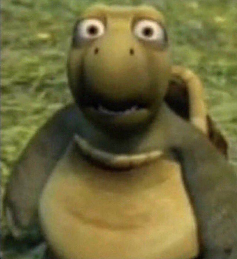 shocked turtle meme