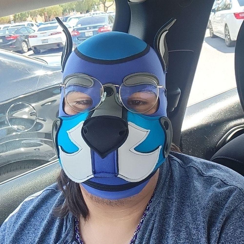 Just a pup waiting for class to start