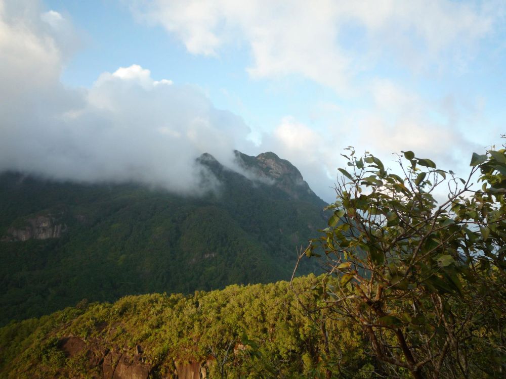 Morne Blanc, Mahé
